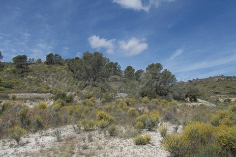 Cave house i Abanilla, Murcia, Abanilla - € 49.000 | Ref: SF0070 - foto 13